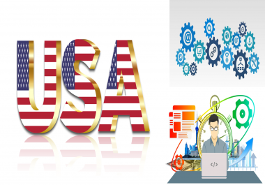 I will drive USA targeted Google organic traffic to your website