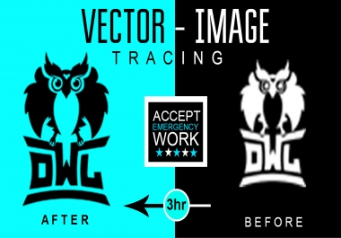 I will recreate,  remake,  redraw or redesign your logo in vector format