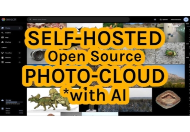 Self Hosted storage Alternative Google Photos iCloud