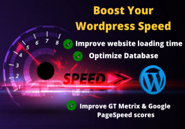 I will speed up your wordpress website speed drastically