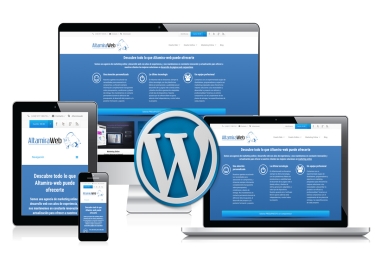 I will build WordPress Website for your blog or store