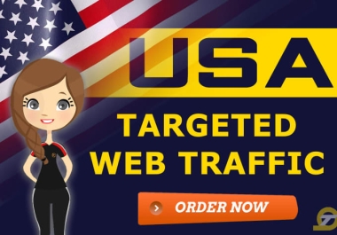 I will blast google USA web traffic targeted views