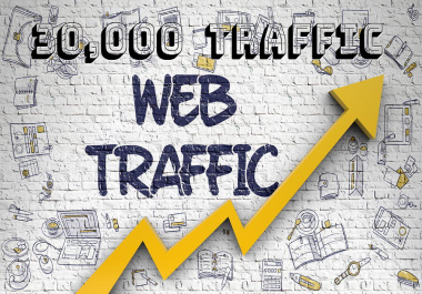 Driving Website Growth 30,000 organic traffic visitors per day for 10 days