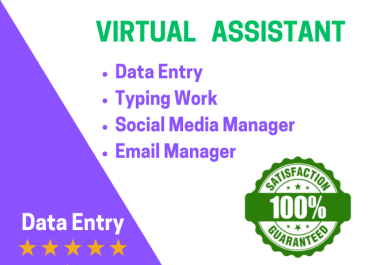 Full time virtual assistant to handle your daily operations