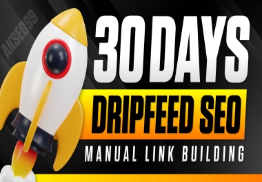 30 Days Drip Feed with Manual link Building SEO Backlinks 