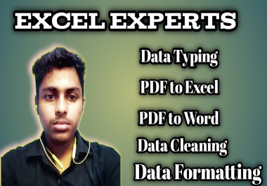 I will be your data entry expert