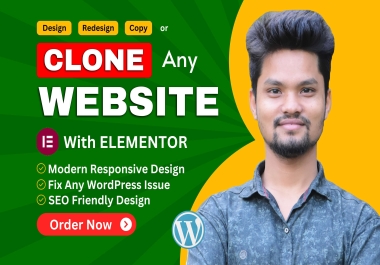 I will copy clone any website with wordpress elementor pro