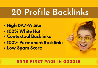 I will build 20 high authority SEO profile backlinks manually