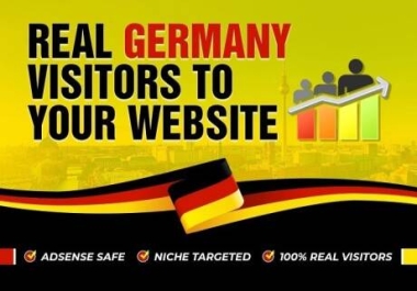 I will bring Germany Targeted Traffic daily Visitors to your Website