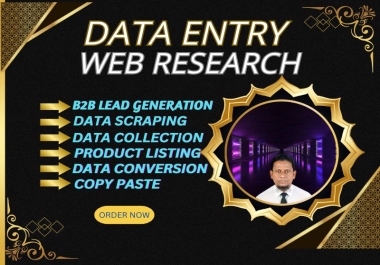 I Will Do B2B Lead Generation,  Data Entry,  Web Research and Data scraping for 10