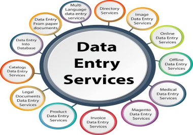 An Affordable Data Entry, Typing, Copy-Paste & Excel Spreadsheet