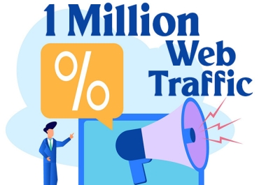 I WILL DRIVE 1 MILLION SEO TARGETED Human Traffic to your Website or Blog