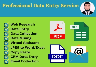 I will be your professional virtual assistant for data entry, web research, and more