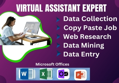 I will be your Virtual Assistant, Data Entry, Copy Paste and Web Scraping