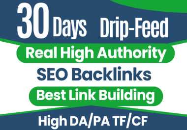 Boost Your Website Rankings On Google And Drive More Targeted Traffic To Your Site SEO Drip Feed