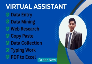 I will be your virtual assistant for data entry, data mining, copy paste, web research, typing