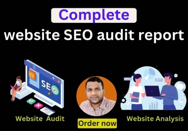 I will provide professional website seo audit