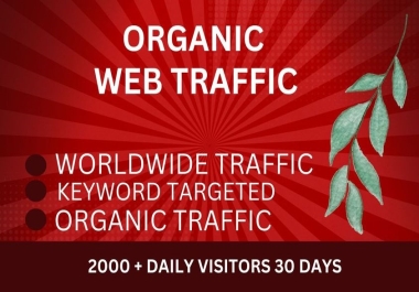 I will drive organic keyword targeted web traffic real visitors