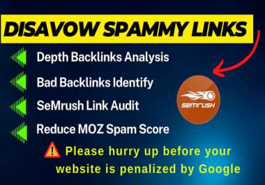 i will remover your website toxic & bad backlinks rank your website on google