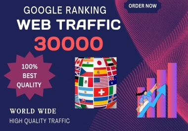 I Will Do Best Google Ranking Web Traffic