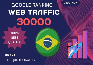 I Will Do Google Ranking Web Traffic For Brazil