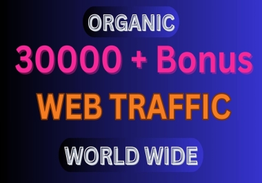 I will drive 30,000 organic visitors from around the world to your website