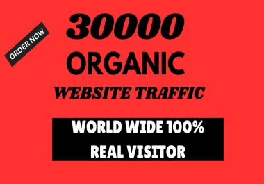 I Will Do Best Website Traffic