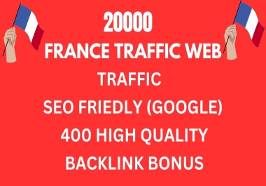 I will Do Best Google Web Traffic For France