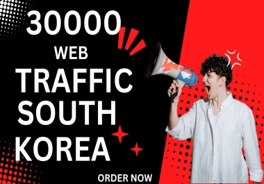 I Will Do Perfect Web Traffic For South Korea.