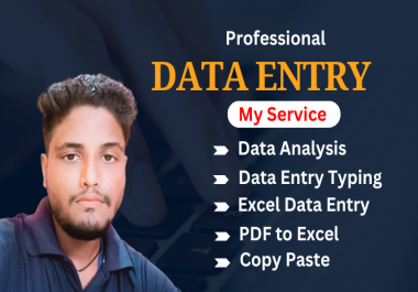 I will do data entry, copy paste, excel data entry, PDF to excel