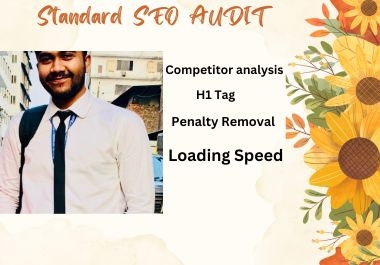 Standard SEO Audit to rank higher.