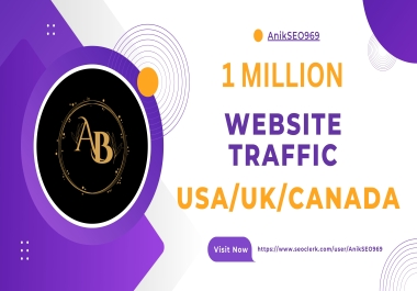 1 Million USA/UK/Canada Social OR Keyword Targeted Traffic.