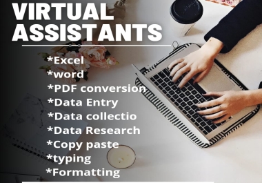 I will be your virtual assistant for data entry or anything and available for permanent work