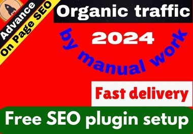 Free SEO plugin setup and On page SEO for low cost website