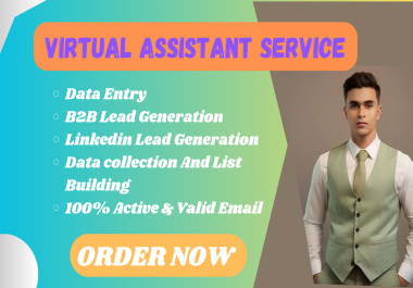 I will do Expert Virtual Assistant for Data Entry, Lead Generation, and Data Collection Solutions