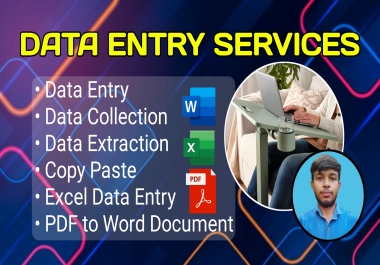 Expert Data Entry Services | Fast & Accurate Data Entry Solutions on SEOClerk