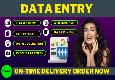 Professional Data Entry: Precise and Timely Solutions