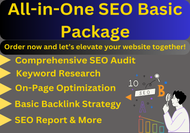 All-in-One SEO Basic Package Boost Your Website&rsquo s Visibility