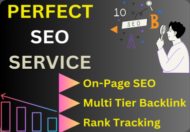 I wil do best SEO Optimization, Search Engine Optimization, Local SEO