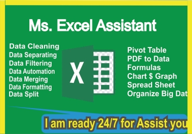 Professional Data Entry and Virtual Assistant Services