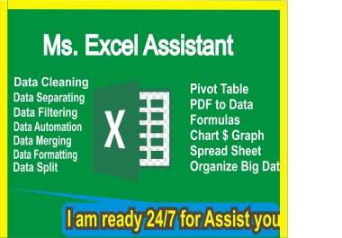 Professional Data Entry and Virtual Assistant Services