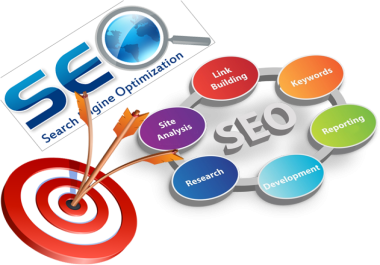 Rank Higher: Expert SEO Solutions for Every Budget