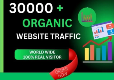 Boost Your Website with 30, 000+ Organic Web Traffic