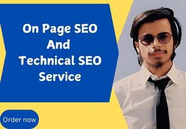 Complete On page SEO & technical SEO service