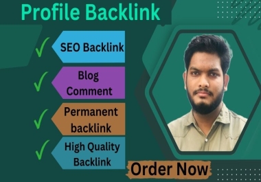 I'll provide 100 high quality profile backlink and growth your website