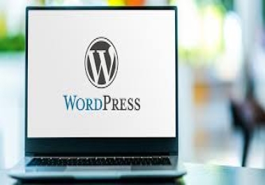 Wordpress Website Developer Expert Wordpress Web Developer for 40