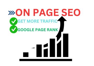  I will get On page SEO and technical optimization for your website