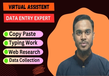 I will do excel data entry,  contact list, data collection,  copy paste.