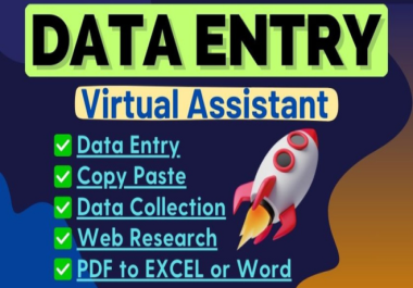 Excel Data Entry, Copy-Paste, PDF to Word, Typing and File Conversion Expert