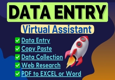 Excel Data Entry,  Copy-Paste,  Typing and File Conversion Expert